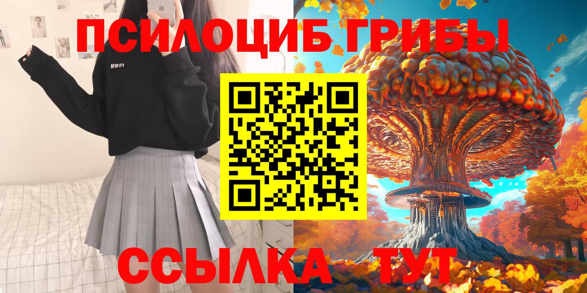 Псилоцибиновые грибы Psilocybe  Вход с VPN  Алатырь  Галлюциногенные грибы мицелий 