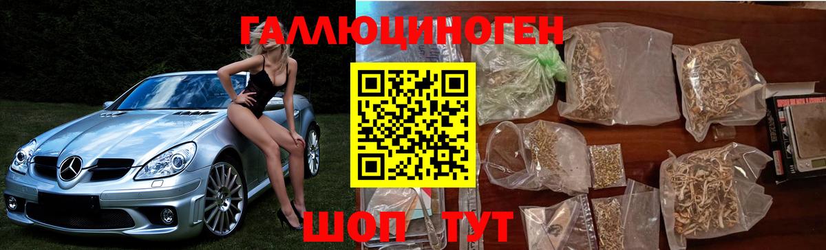 Псилоцибиновые грибы Cubensis Алатырь